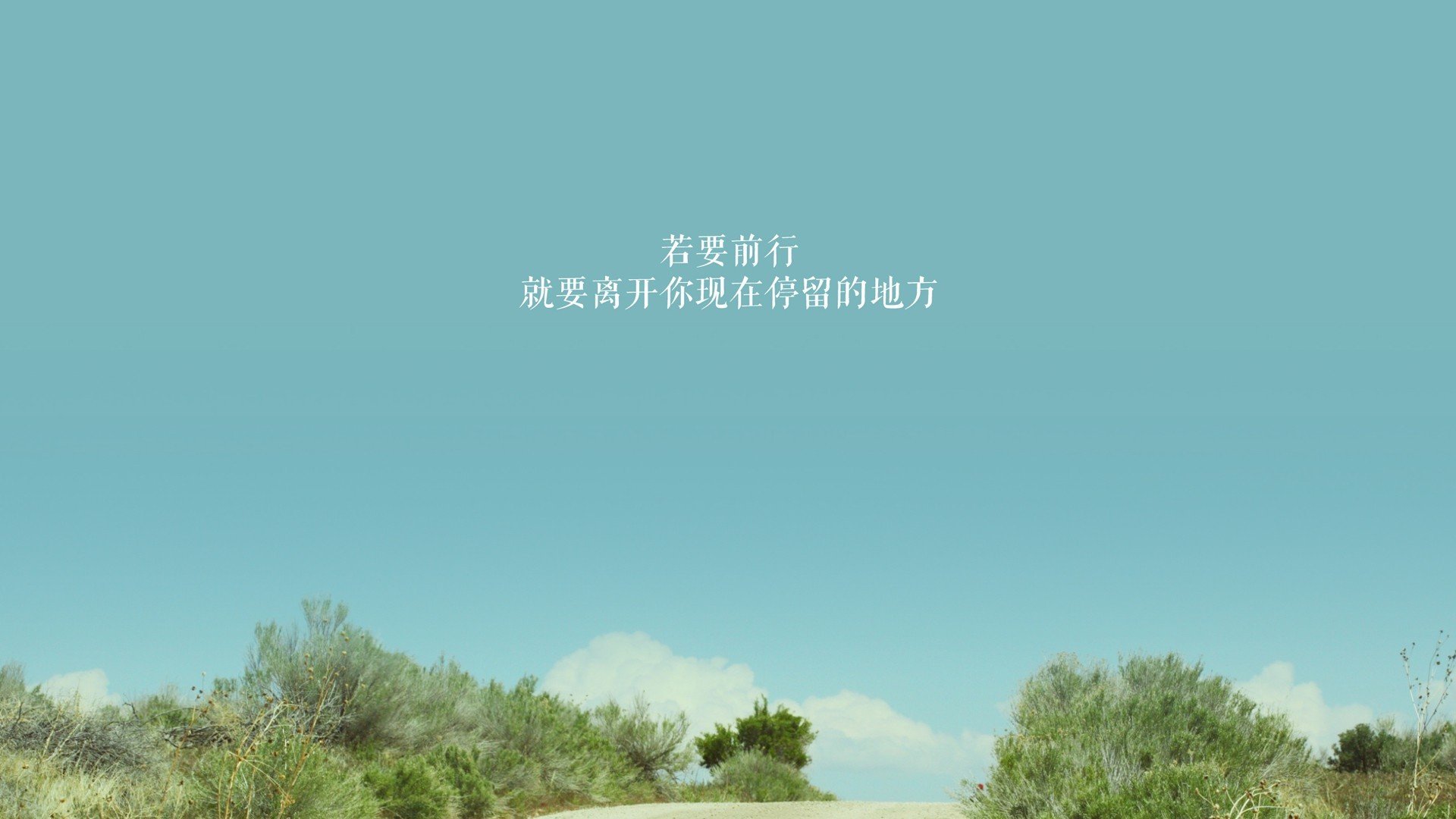 1998年的荷兰:半决赛点负巴西,1998年荷兰国家队阵容